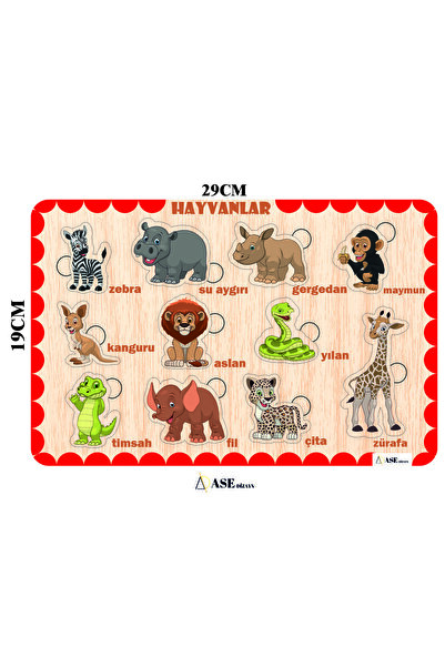 ASE DİZAYN Ahşap çocuk puzzle(yapboz) egitici ve öğretici Bul- Tak  adet orma...