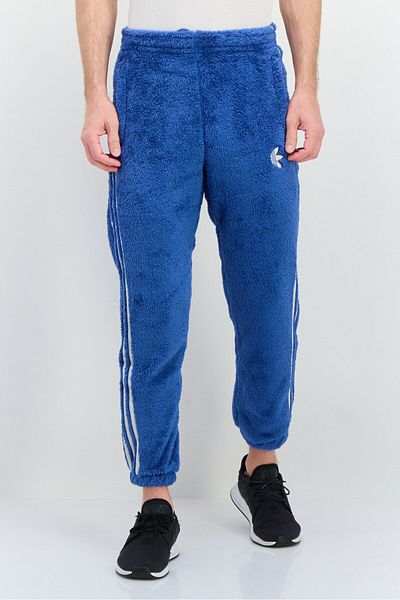 adidas Men Sportswear Fit Outdoor Indigo Pant, Blue Combo