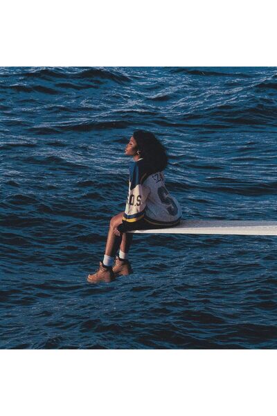 Genel Markalar SZA Sos Double Lp Plak