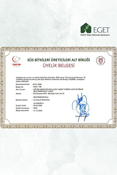 EGET Organik Biberiye Fidesi (6 ADET)