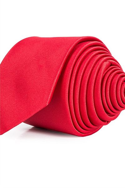 Tudors Plain Slim Men's Tie