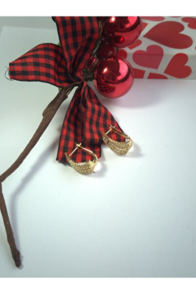 celisia "أقراط مرصعة بالأحجار - تصميم عصري وأنيق وغير تشويه - هدية للمناسبات الخاصة"