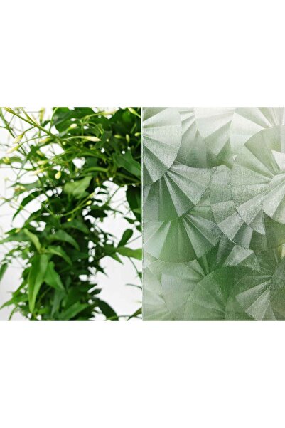 d-c-fix 176-0272 Folie autoadeziva pentru sticla (45 cm x 1 mt)