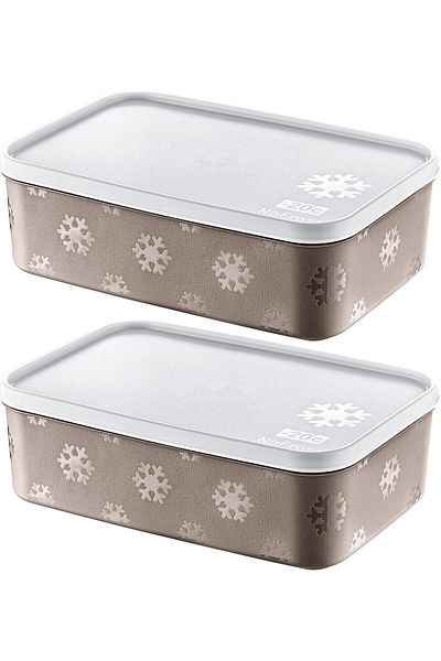STOREMAX Sellbuystore Set of 2 No Frost Storage Container Terra 1600 ml 1053513