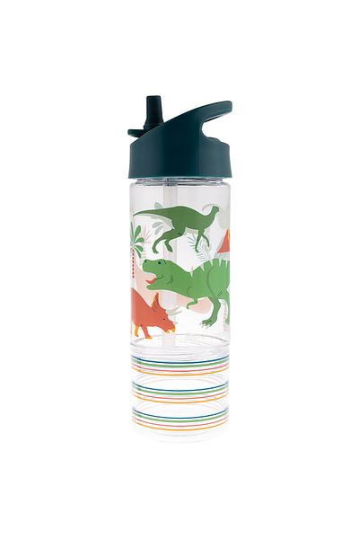 Stephen Joseph Dinosaur Compartment Snack Drinker