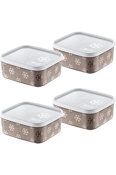 STOREMAX Sellbuystore Set of 4 No Frost Storage Container Terrra 700 ml 1053513