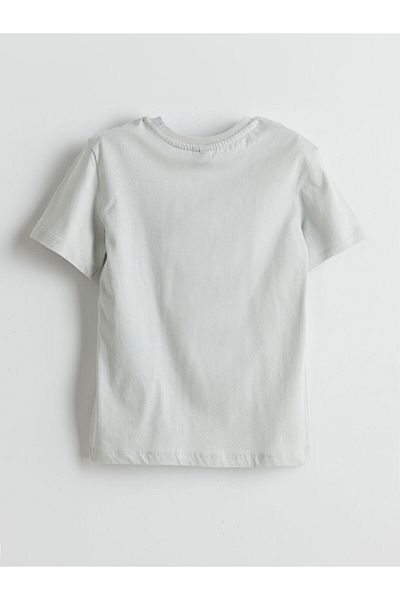 LC Waikiki Lcw Eco Crew Neck Boy T-Shirt