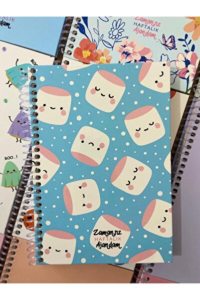 mcolor Sticker'lı Planlayıcı, Zamansız Haftalık Ajanda, Resimli, Renkli ve Sp...