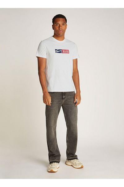 Tommy Hilfiger Crew Neck Ecru Men's T-Shirt Dm0Dm20365Ybl Tjm Slim Entry Gra