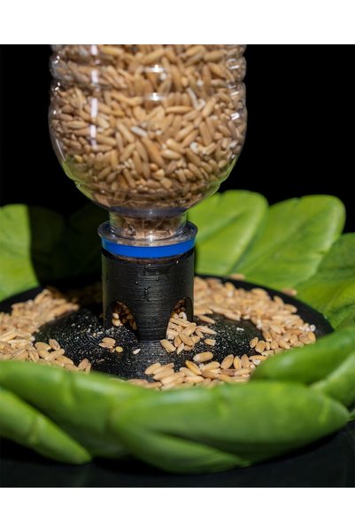 OddieArtStore Bird Feeding