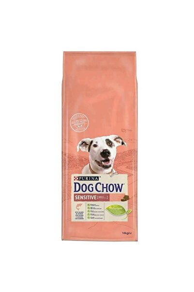 Dog Chow Somonlu Hassas Yetişkin Köpek Maması 14 Kg