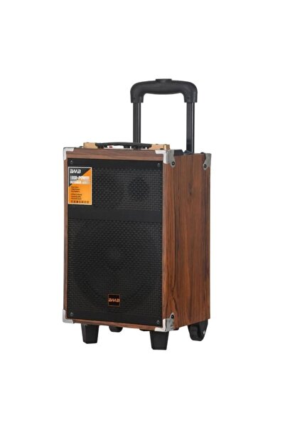 newdaki BAAB Q12 Profosyonel Ahşap Kasa Taşınabilir Büyükboy 40x33x60 Kumanda...