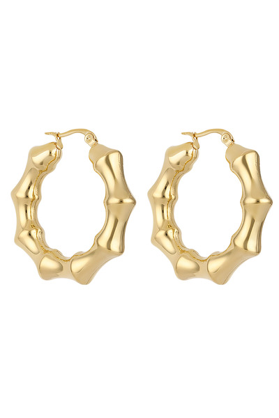 Daniel Klein DKJ.3.30007-2 Kadın Küpe