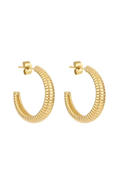 Daniel Klein DKJ.3.30008-2 Kadın Küpe