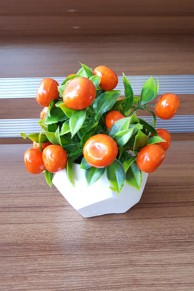 adresiburasi زهرة اليوسفي المكتبية في وعاء خرساني حجري مع 18 فاكهة