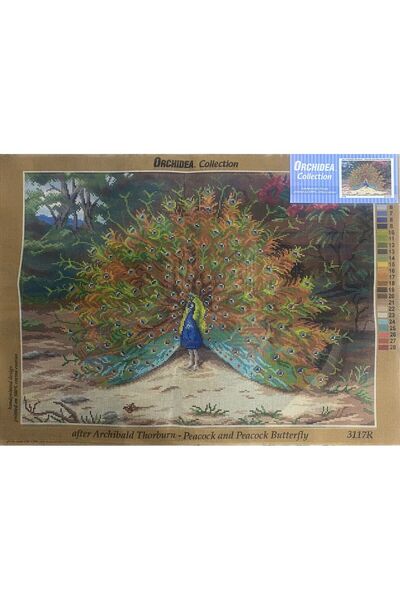 Orchidea 50X70 cm ORCHIDEA BASKILI GOBLEN 3117R