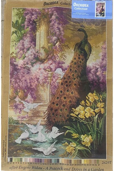 Orchidea 50X81 cm ORCHIDEA BASKILI GOBLEN 2629T