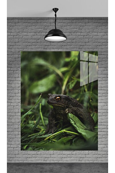 seZZeon KURBAĞA RESMİ TEMPERLİ CAM ÜZERİNE TABLO SEVGİLİNİZE YILBAŞI HEDİYE