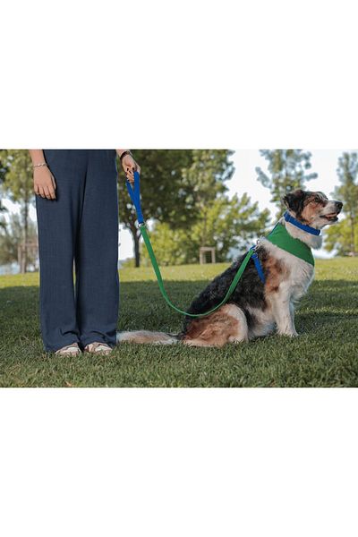GoPawGo Jewel Soft Dog Chest Collar Set