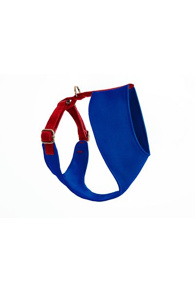 GoPawGo Sirius Soft Dog Collar - Comfortable and Stylish Design