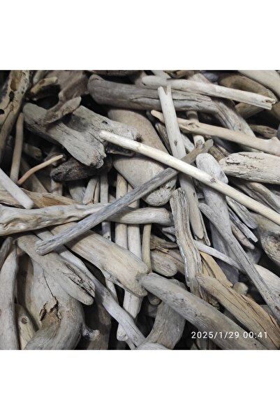 Marangozi Driftwood 20 Parça Karışık