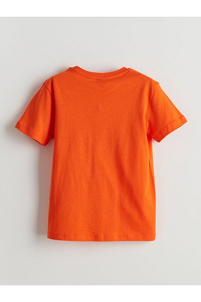 LC Waikiki Crew Neck Boy's T-Shirt