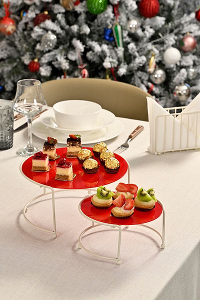 Edora Home Beige Small Size Presentation Rack 2-Piece Metal Gift Decoration Catering / Red Plexiglass / Stainless