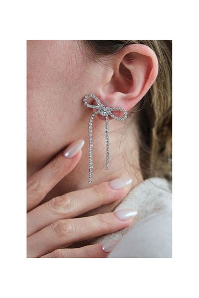 Ervalina Zircon Stone Ribbon Figured Women's Earrings