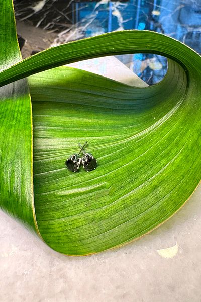 MOONİ ACCESSORİES Steel Solitaire Model Zircon Black Stone Design Ball Silver Silver Color Earrings