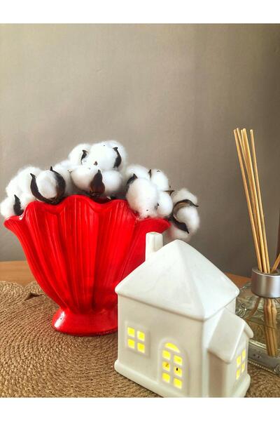 Zenithar KIRMIZI İSTİRİDYE VAZO (SEVGİLİLER GÜNÜ ÖZEL TASARIM)