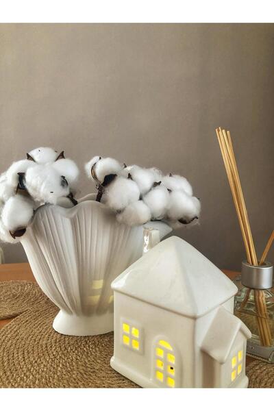 Zenithar BEYAZ İSTİRİDYE VAZO