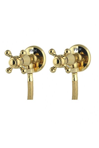 FKN Double Ram Spiral Gold Bidet Faucet