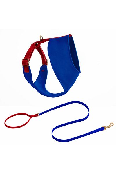 GoPawGo Sirius Soft Dog Chest Collar Set