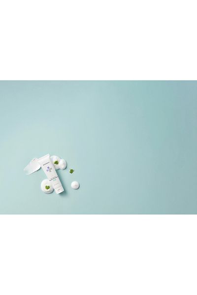 Banobagi Milk Thistle Repair Foam - Repairing Foam Cleanser for Sensitive Skin