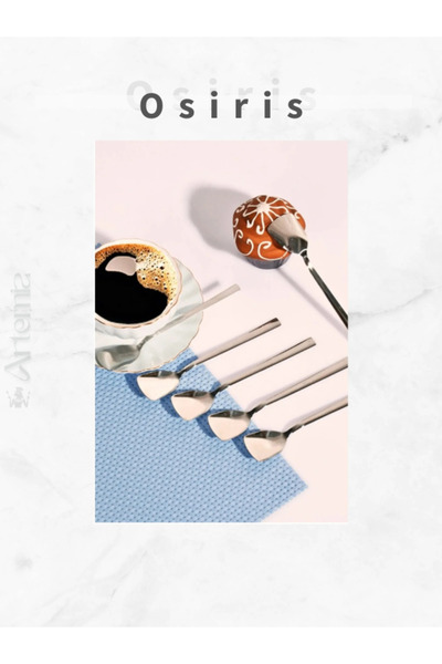 DMR LİFE Osiris Luxury Ice Cream and Dessert Spoon Set 6 Pieces Stainless Steel 18/10