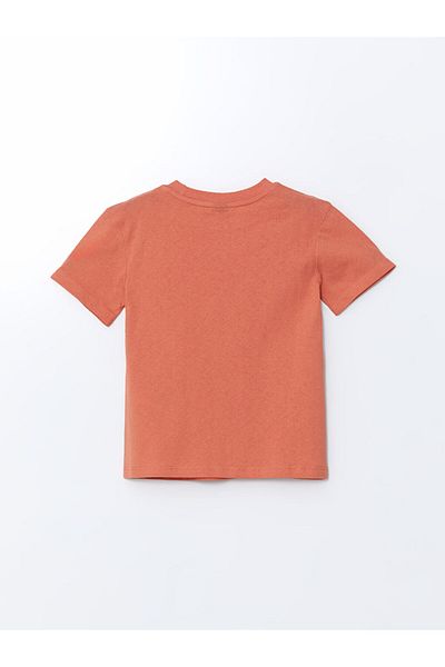 LC Waikiki Crew Neck Boy's T-Shirt