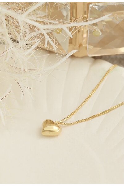 LİNOVE JEWELLERY Gümüş Kalp Kolye, 925 Ayar Gümüş Üzeri 14k Altın Kaplama, Gü...