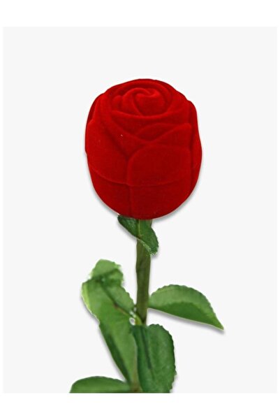 Meri Art Store Sevgili Hediyesi Sonsuzluk Gülü