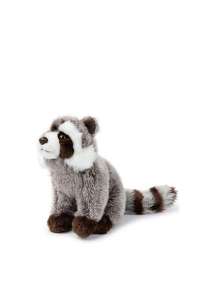 ToysAll Bon Ton Toys WWF Raccoon Plush Toy 23 cm - 9"15211044