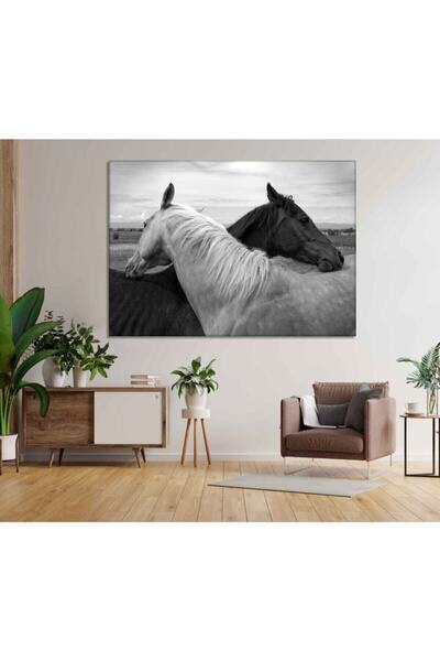 BiTablom At Resimli Ev, Oturma Odası, Yatak Odası Dekorasyonu Kanvas Tablo