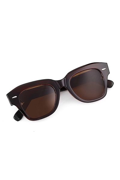 TomyHelf Brown Matte Glass Brown Shiny Frame Unisex Sunglasses