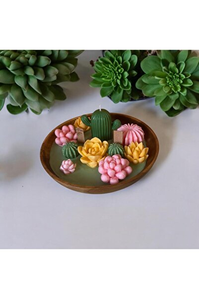 ŞEBNEM Doğal Sukulent ve Kaktüs Temalı Dekoratif Mum – El Yapımı & Soya Wax