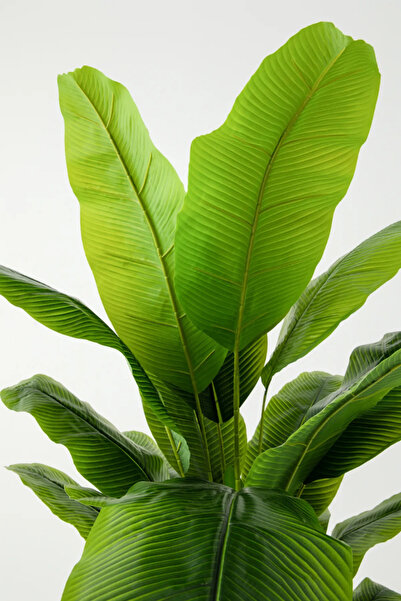 Cihan Çiçekçilik Yapay Muz Ağacı 180-190 Cm Metal Saksı