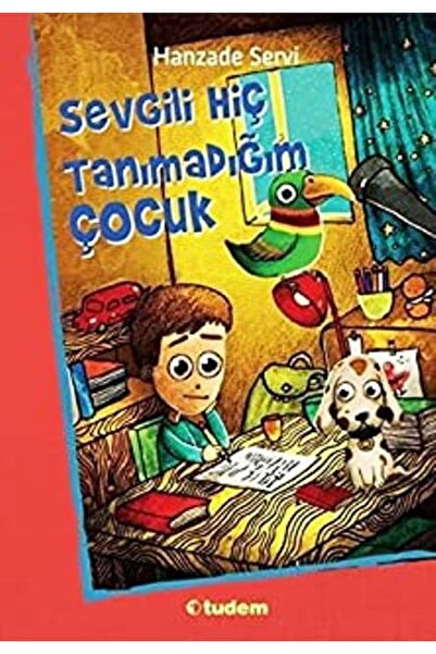 Tudem Yayınları Sevgili Hiç Tanımadığım Çocuk- 1-Hanzade Servi