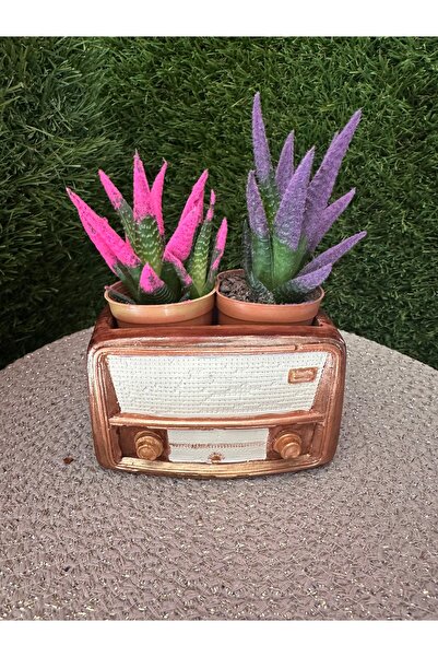 titanbaby Vintage Radyo Dekor Saksı