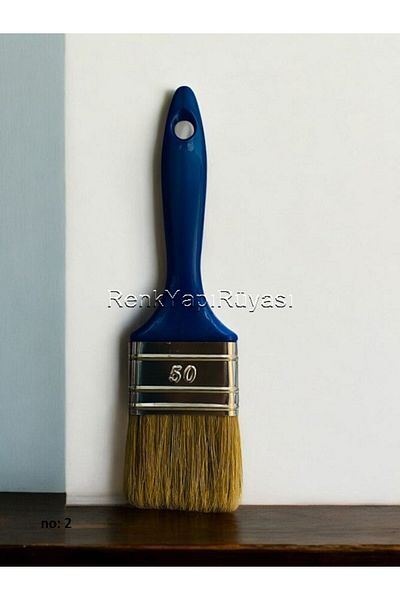 RENK YAPI RÜYASI Painting Badana Brush, Strutching Brush (No 2)