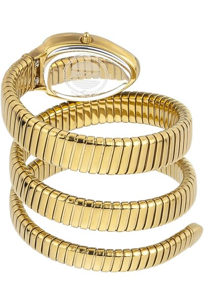 Just Cavalli ساعة يد نسائية أنيقة بقرص أخضر من JUST CAVALI