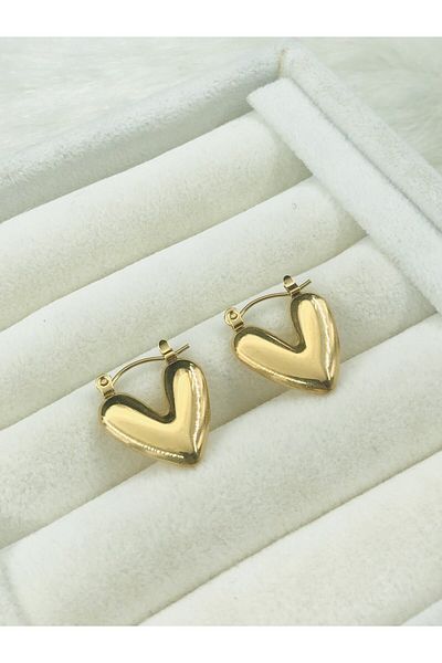 DS DİAMONDSHOP Heart Model Steel Earrings - Byçkp- 202502817