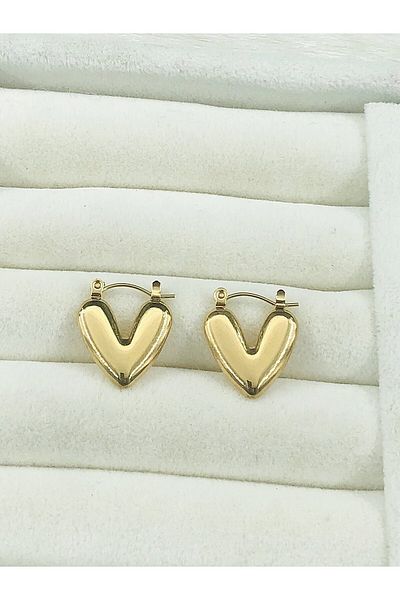 DS DİAMONDSHOP Heart Model Steel Earrings - Byçkp- 202502817