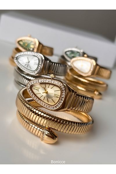 Bonicce Green Dial and Snake Watch in Gift Box - Silver Band with Rhinestones and Heart Bracelet